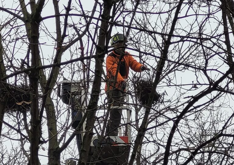 Ein bisschen stolz ….