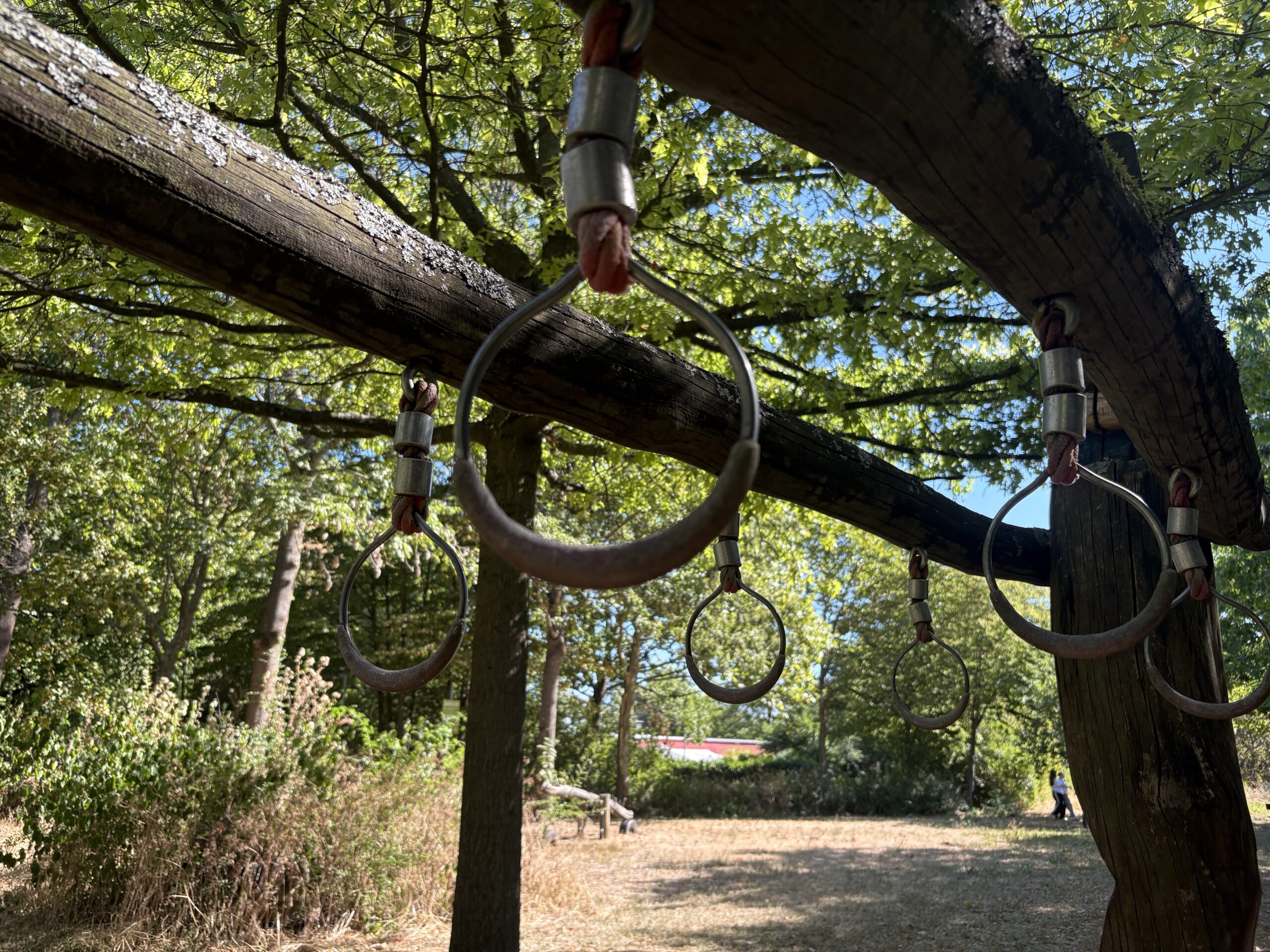 Bild zum Termin „Walk & Talk“ Tizianwiese